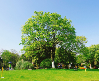 上海域倫實(shí)業(yè)有限公司產(chǎn)品的應(yīng)用